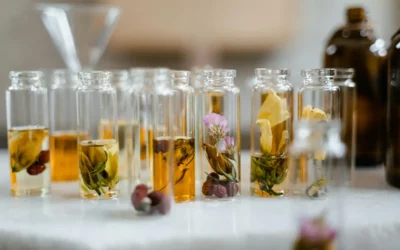 Gemmothérapie et naturopathie : guide des bourgeons, usages et précautions