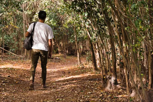 Homme marchant sur un sentier en forêt, vu de dos, illustrant l'activité physique adaptée en naturopathie